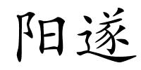 阳遂的解释