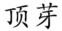 顶芽的解释