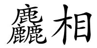 麤相的解释