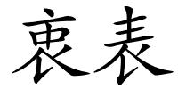 衷表的解释