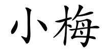 小梅的解释