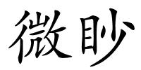 微眇的解释