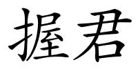 握君的解释