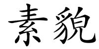 素貌的解释