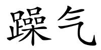 躁气的解释