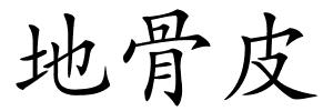 地骨皮的解释