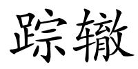 踪辙的解释
