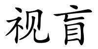 视盲的解释