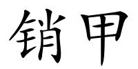 销甲的解释