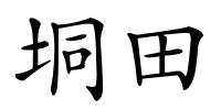 垌田的解释