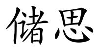 储思的解释