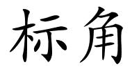 标角的解释