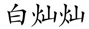 白灿灿的解释