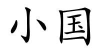 小国的解释