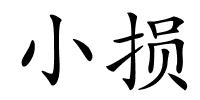 小损的解释