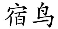 宿鸟的解释