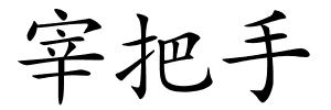 宰把手的解释
