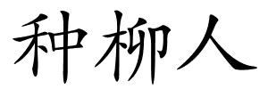 种柳人的解释