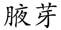 腋芽的解释
