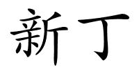 新丁的解释