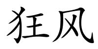 狂风的解释