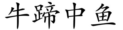 牛蹄中鱼的解释