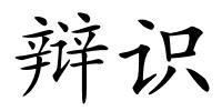 辩识的解释