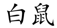 白鼠的解释