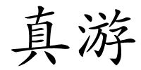 真游的解释