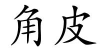 角皮的解释