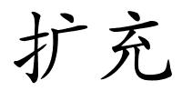 扩充的解释