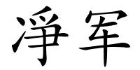 凈军的解释