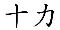 十力的解释