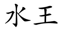 水王的解释
