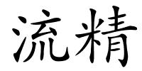 流精的解释