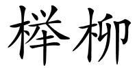 榉柳的解释