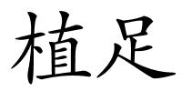植足的解释