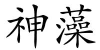 神藻的解释