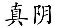 真阴的解释