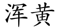 浑黄的解释