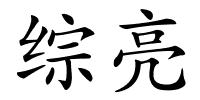 综亮的解释