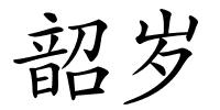 韶岁的解释