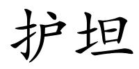 护坦的解释