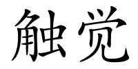 触觉的解释