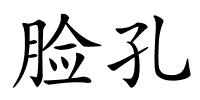 脸孔的解释