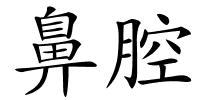 鼻腔的解释