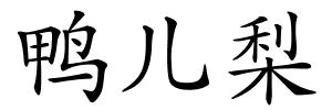 鸭儿梨的解释