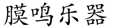 膜鸣乐器的解释