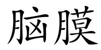 脑膜的解释