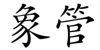 象管的解释